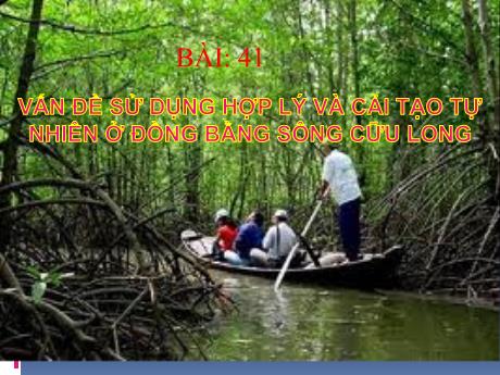Bài giảng Địa lí 12 - Bài 41: Vấn đề sử dụng hợp lý và cải tạo tự nhiên ở đồng bằng sông Cửu Long