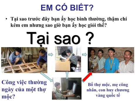 Bài giảng Sinh học 12 - Bài 13: Ảnh hưởng của môi trường lên sự biểu hiện của gen