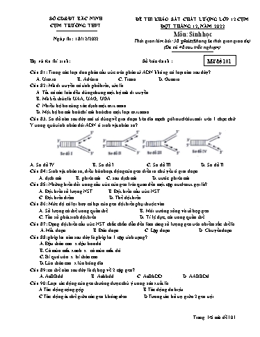 Đề khảo sát chất lượng (Lần 1) môn Sinh học 12 - Sở GD&ĐT Bắc Ninh Cụm Trường THPT 2022-2023 (Có đáp án)