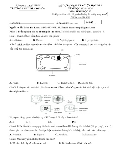 Đề minh họa kiểm tra Giữa kì 1 môn Sinh học 12 - Trường THPT Tiên Du số 1 2024-2025 (Có đáp án)