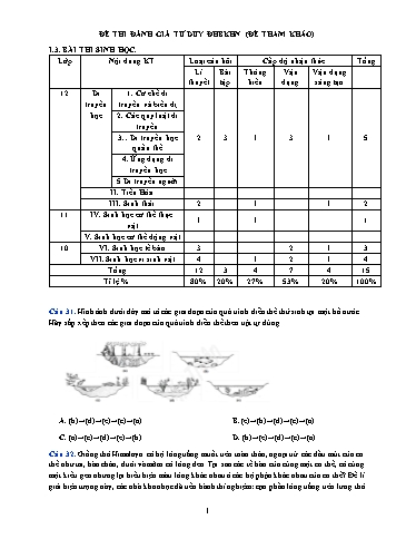 Đề ôn số 9 thi đánh giá năng lực ĐHQG HN năm 2022 môn Sinh học - Sở GD&ĐT Bắc Ninh (Có đáp án)