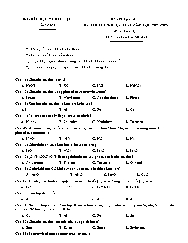 Đề ôn tập số 11 Kỳ thi TN THPT 2022 môn Hóa học - Trường THPT Gia Bình số 1 (Có đáp án)