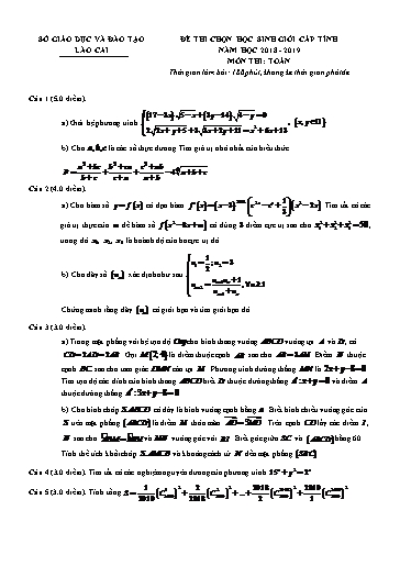 Đề thi chọn HSG cấp tỉnh môn Toán 12 - Sở GD&ĐT Lào Cai 2018-2019 (Có đáp án)