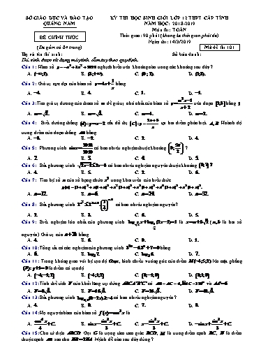 Đề thi chọn HSG cấp tỉnh môn Toán 12 - Sở GD&ĐT Quảng Nam 2018-2019 (Có đáp án)