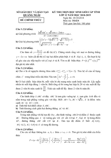 Đề thi chọn HSG cấp tỉnh môn Toán 12 - Sở GD&ĐT Quảng Ngãi 2018-2019 (Có đáp án)
