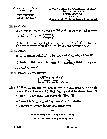 Đề thi chọn HSG cấp tỉnh môn Toán 12 (Vòng 1) - Sở GD&ĐT Bình Thuận 2018-2019 (Có đáp án)