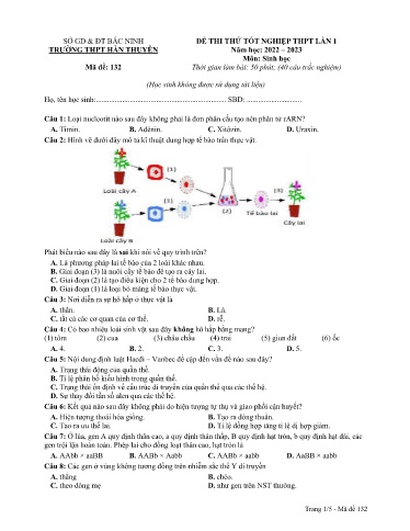Đề thi thử TN THPT 2023 (Lần 1) môn Sinh học - Trường THPT Hàn Thuyên (Có đáp án)