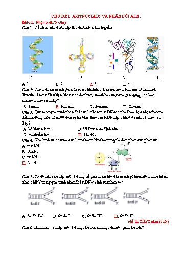 Ôn tập Sinh học 12 - Chủ đề: Axitnucleic và nhân đôi ADN