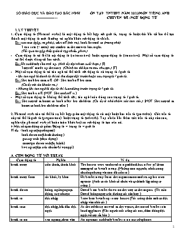 Ôn tập TN THPT môn Tiếng Anh - Chuyên đề: Ngữ động từ
